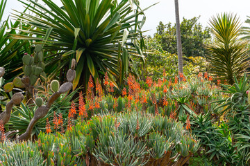 Botanical Garden in Funchal, Madeira