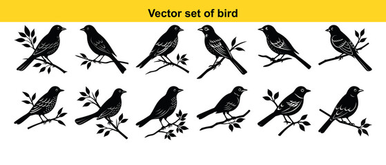 Set of silhouettes of birds isolated on white background. Vector silhouettes of birds. A vector set shows silhouettes of flying birds, a collection of black animal icons representing wild wings in