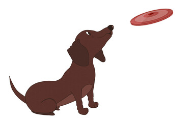 Cartoon clipart of a dachshund dog looking up at a red flying disc, isolated on transparent background. Ideal for pet-themed designs, playful graphics, or children's content.