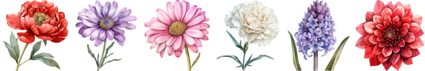 Colorful Floral Arrangement Featuring Vibrant Flowers in Various Shades and Forms against a Transparent Background