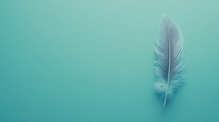 Naklejka premium Delicate Feather on a Serene Teal Background, Minimalist Simplicity, and Grace