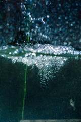 water and bubbles in nature in sunny summer light texture and abstraction
