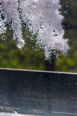 water and bubbles in nature in sunny summer light texture and abstraction