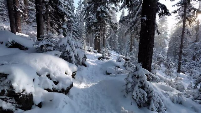 Snow-covered forest path winding through dense pine trees in soft winter light, peaceful cold landscape with fresh untouched snow &ndash; Generative AI
