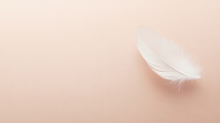 Naklejka premium Elegant feather lying on a soft background, conveying a sense of lightness