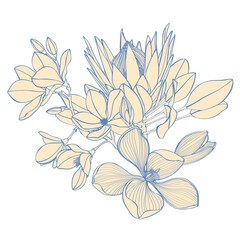 Vintage style foliage wall art template. Collection of hand drawn flowers texture, leaf branch, line art. Botanical poster for wall decoration, interior, wallpaper, banner.