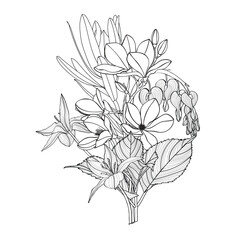 Vintage style foliage wall art template. Collection of hand drawn flowers texture, leaf branch, line art. Botanical poster for wall decoration, interior, wallpaper, banner.