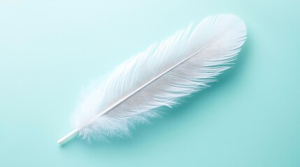 Fototapeta premium Elegant white feather isolated against a calm, serene turquoise background
