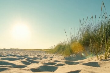 Fototapeta premium Golden beach at sunset
