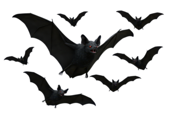 Spooky bats flying for halloween, isolated background