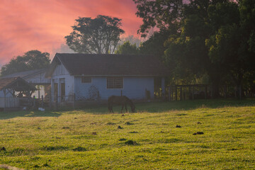 Beautiful landscapes of the eco Fazenda, Rio Grande do Sul, Brazil