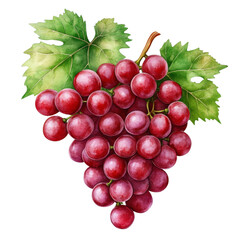 Fototapeta premium Fresh Red Grapes with Green Leaves on a White Background for Health and Dietary Concepts in Still Life
