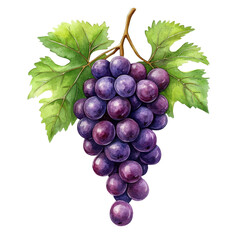 Obraz premium Lush Grapes Bunch with Green Leaves Illustrating Freshness and Nature's Beauty in Vibrant Colors