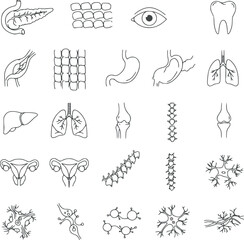 Obraz premium Line Drawing Human Organs Body Part Icons Set Silhouette Vector Design Royalty-Free Images