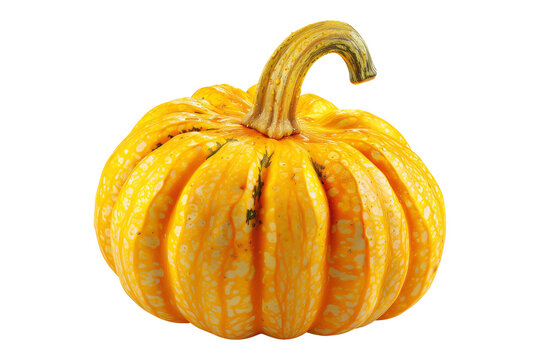 Carnival squash pumpkin with a green and cut slice stem isolated on white transparent background, great for autumn themes and decorations