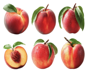 Fresh ripe nectarines collection with water droplets showing whole fruits from multiple angles and halved cross section with pit against transparent background for food marketing.
