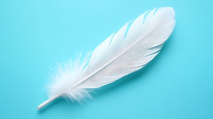 A Gentle White Feather on a Serene Teal Backdrop: Delicacy and Minimalism