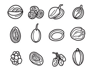 High Quality Dates Food Line Art Vector for Digital Use