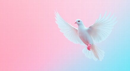 flying dove of peace