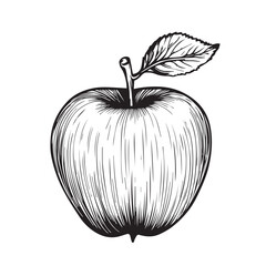 Apple Fruit Engraving Style Illustration Isolated On White Background Vector Image