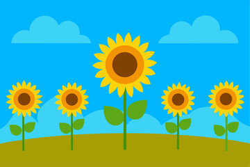 sunflower on blue background