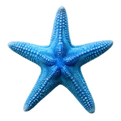 blue starfish  isolated on white background. PNG transparent