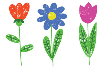 Crayon flowers vector illustration. Pastel and colored pencil hand drawn kids painting on white background. Cute daisy plants sketch. Children floral art
