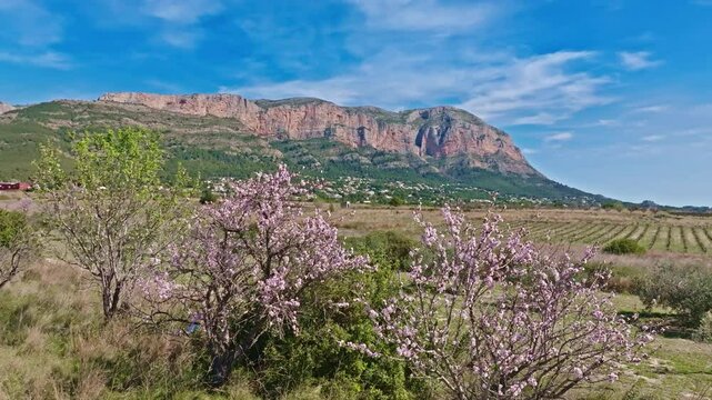 Javea Xabia on spring almond tree blossom with Montgo mountain