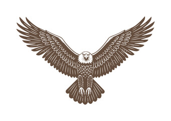 Bald eagle soaring in air monochrome illustration. Isolated, vector of eagle engraving style