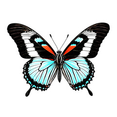 Butterfly drawing featuring blue, black, and red colors. Captivating design ideal for naturethemed illustrations, prints, textiles, and stationery.