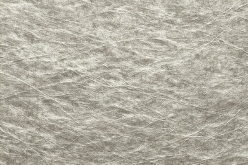 Fototapeta premium Light gray textured surface