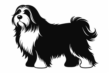 bearded collie  silhouette vector illustration