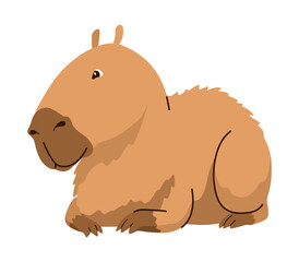 Capybara. Cartoon cute animal, wild herbivore mammal resting. Funny adorable exotic animal relaxing. Cartoon flat vector illustration