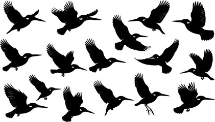 Obraz premium set of swallow bird logo clip art silhouette design vector art illustration 