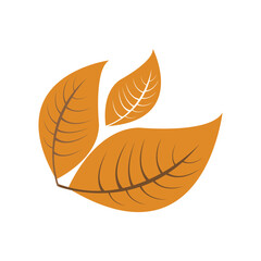 Tobacco leaf logo Icon,Vector logo for natural tobacco 