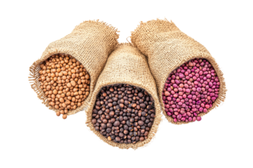 Three burlap bags filled with assorted seeds