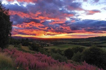 Obraz premium Vibrant sunset over a valley