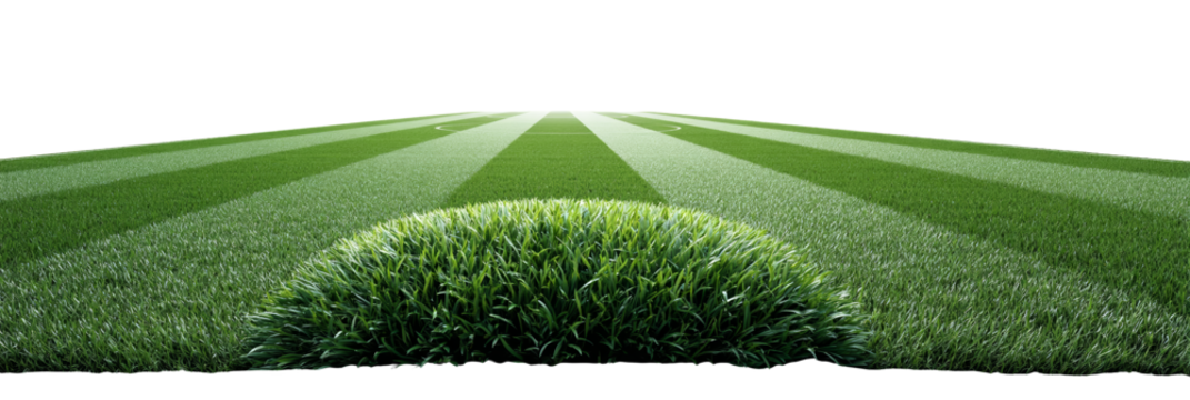 Lush green fields with distinct rows stretching toward the horizon. Png, Isolated on background.