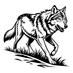 wolf vector illustration
