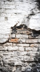 Weathered brick wall with peeling plaster