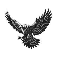 Black and white silhouette of a bald eagle in flight