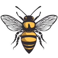 bee isolated transparent background