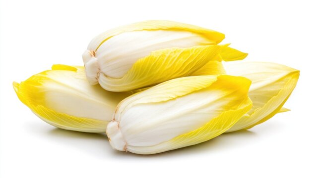 Fresh endives on white background
