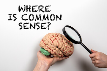 Creative Representation of Common Sense with Brain Model and Magnifying Glass