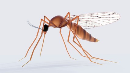 A 3d rendering of scientifically accurate yet artistically rendered portrayal of a mosquito, possibly an Anopheles.