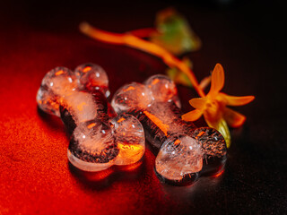 Close-up of a yellow flower beside two melting ice shapes on a vibrant red and black surface with...
