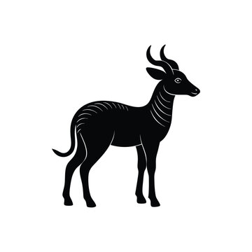 tumbi silhouette art illustration on white background