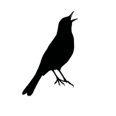 Solid black silhouette of a blackbird singing, Vector Graphic