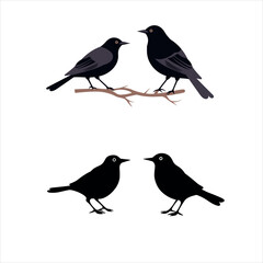 Bird silhouette vector design