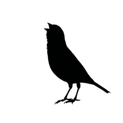 Obraz premium Solid black silhouette of a canary cheerful, Vector Graphic